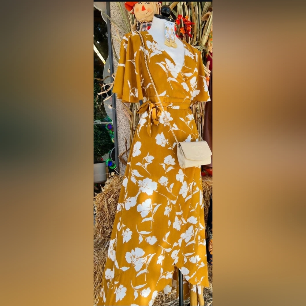 Nwot wrap dress